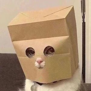 Meet your Posher, Isabella